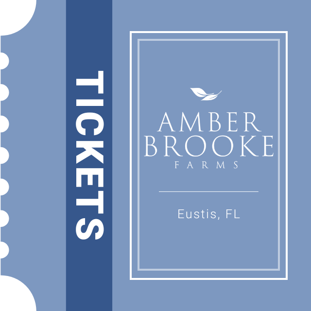 Blueberry Festival - 4/22/23